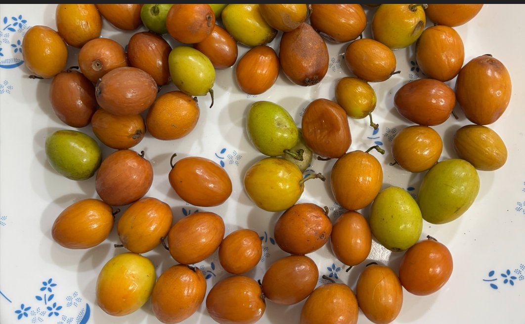 Dr Sudhir Kumar MD DM tweet media