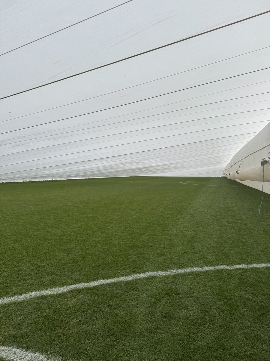 Liam Cash tweet media