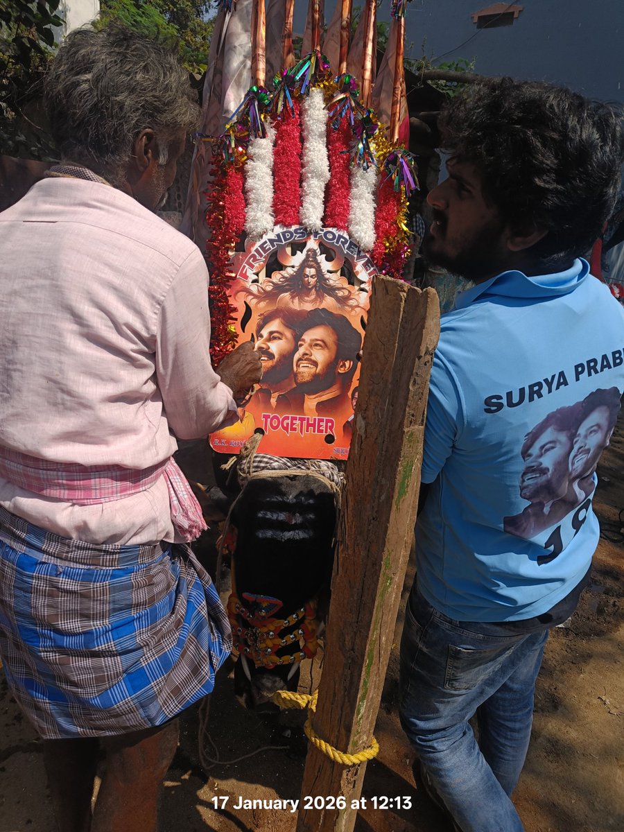 Bonding choodu thammudu