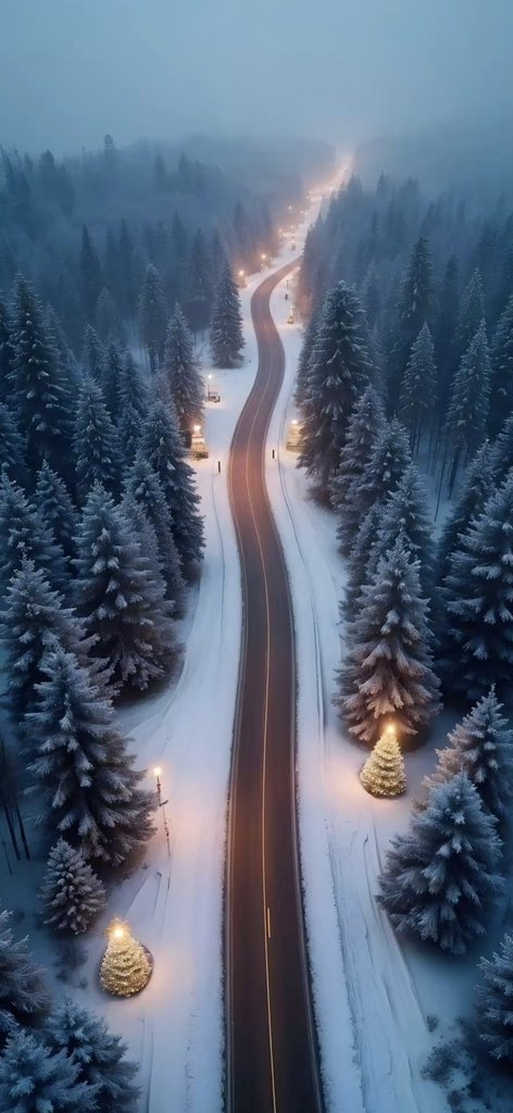 wallpapers7357's tweet image. Good evening grinders