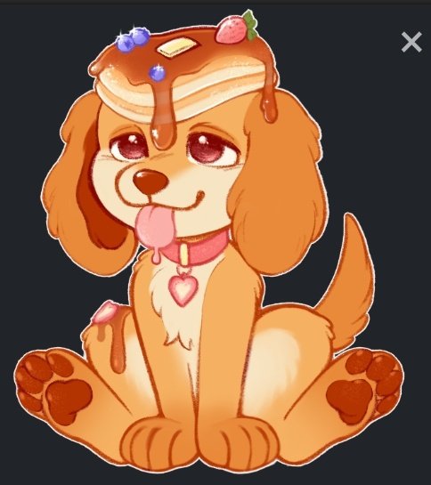 Blossomiest Blossom 🌸🐯 tweet media