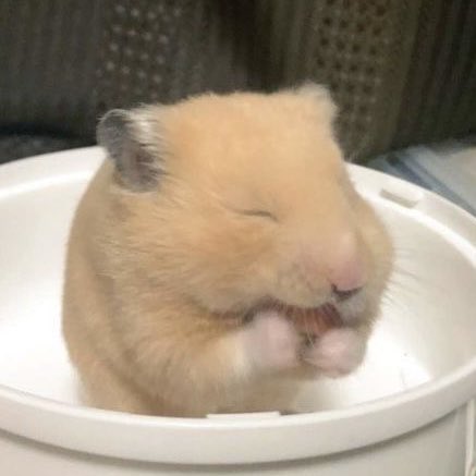 m!ya (@xeeszme) on Twitter photo 