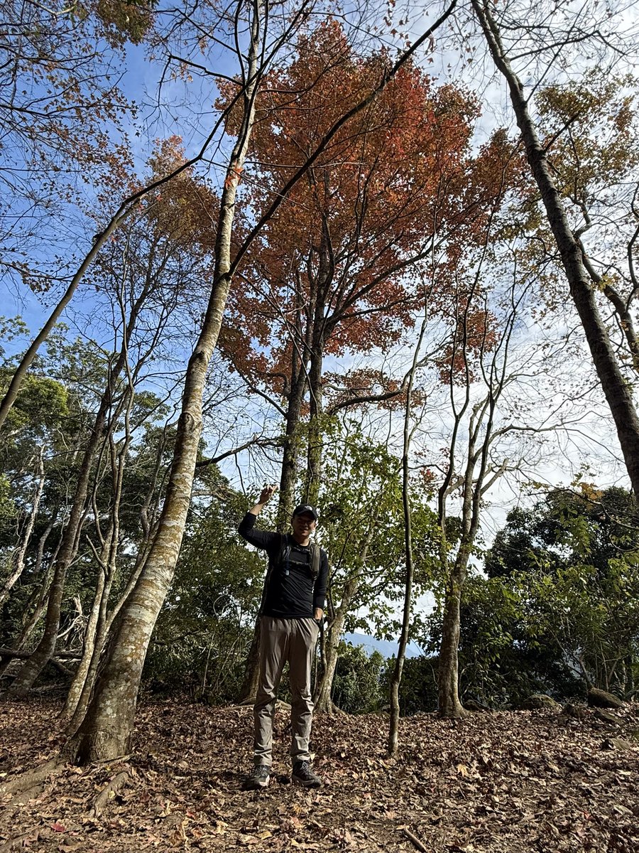 天氣好好的一天，適合登山！苗栗馬拉邦山半日5公里！