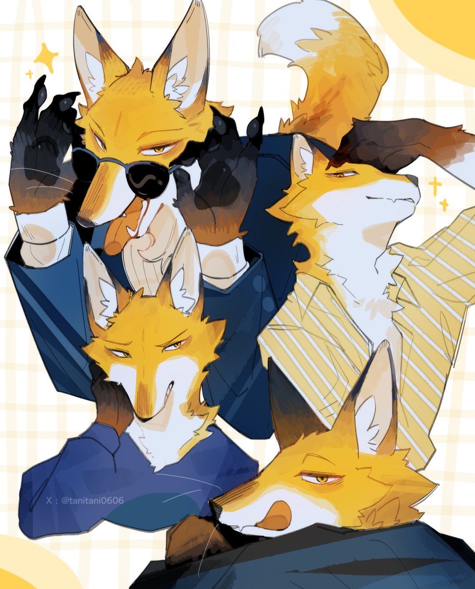 tanitani0606's tweet image. 🦊