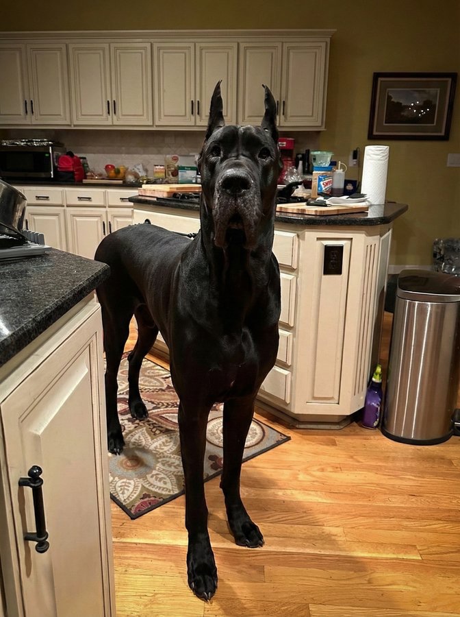 Honey 🛼 tweet media