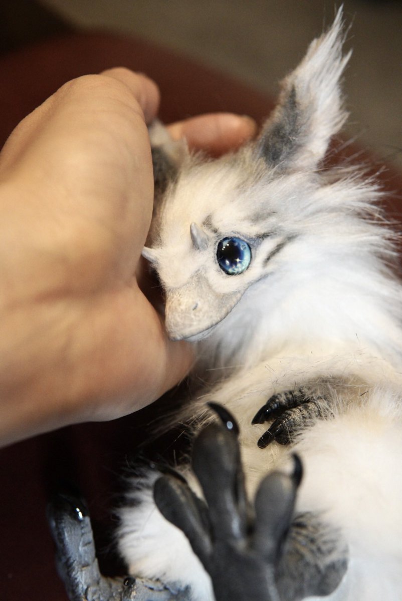 CAVALISA/アートドール作家 (@to_aves) / Posts / X