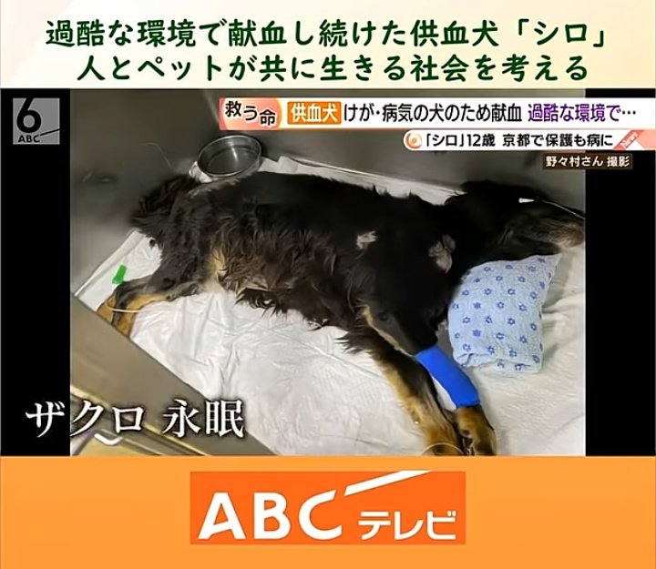 m (@sakamo1111) / Posts / X