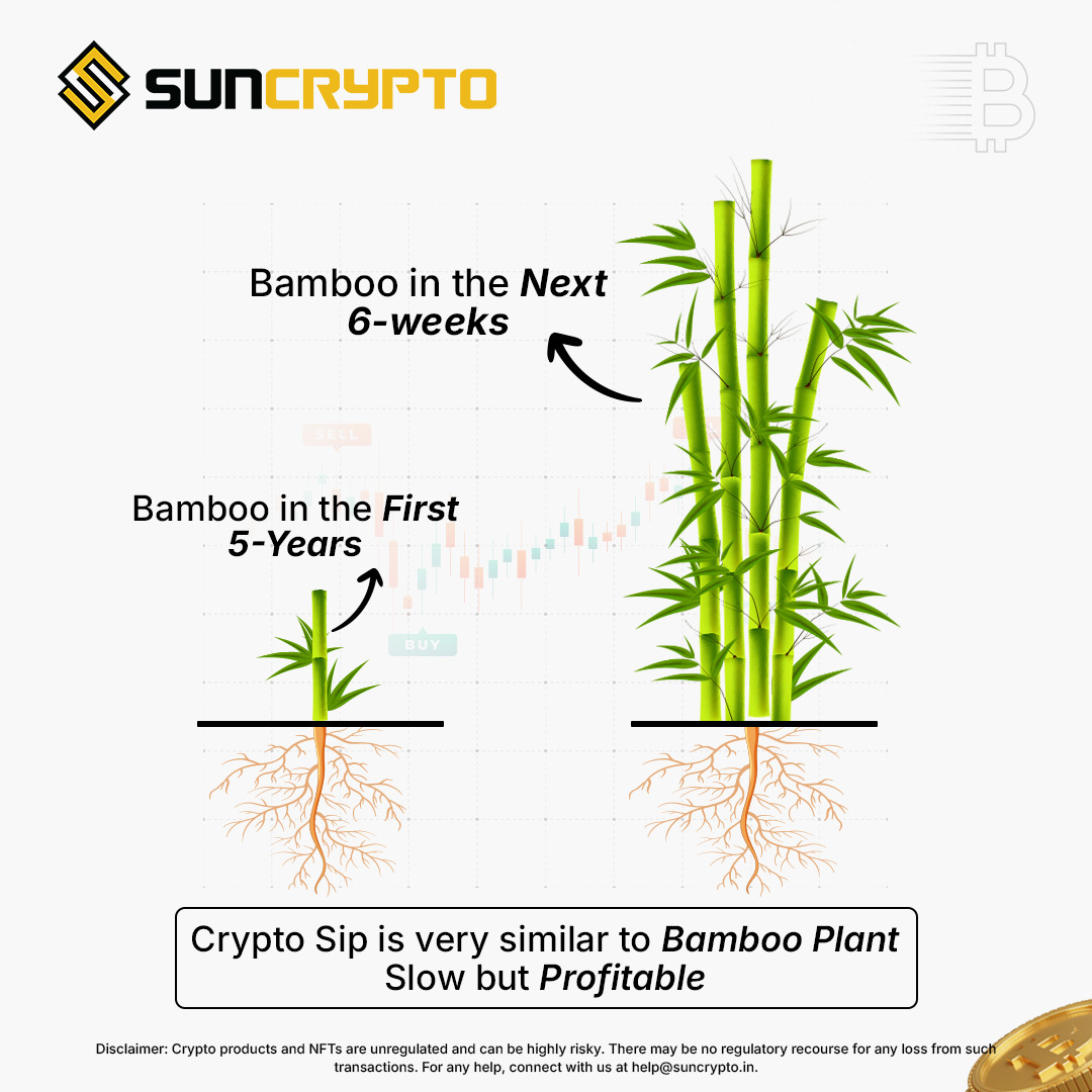 Like Bamboo, real growth takes time. Start your Crypto #SIP journey with  just ₹100 on SunCrypto. Diversify into bluechip cryptocurrencies and  gold-backed tokens like XAUT & PAXG. Start SIP today - link