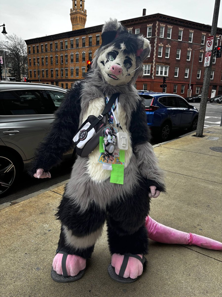 Mokka 🔜 BWS,RUFF,FWA tweet media