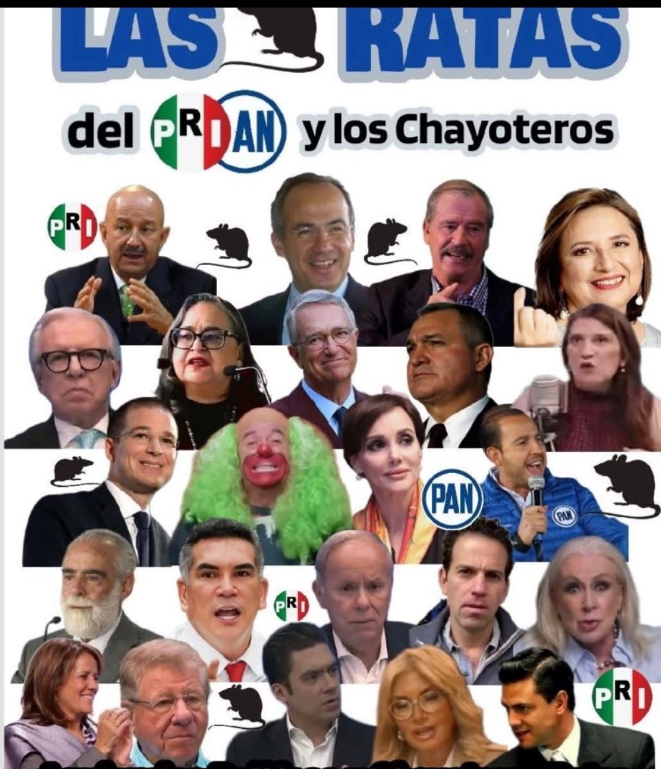 AliciaJ86958882's tweet image. Andan bien rabiosas estas RATAS... como que presienten que van a perder algo grande 🤔