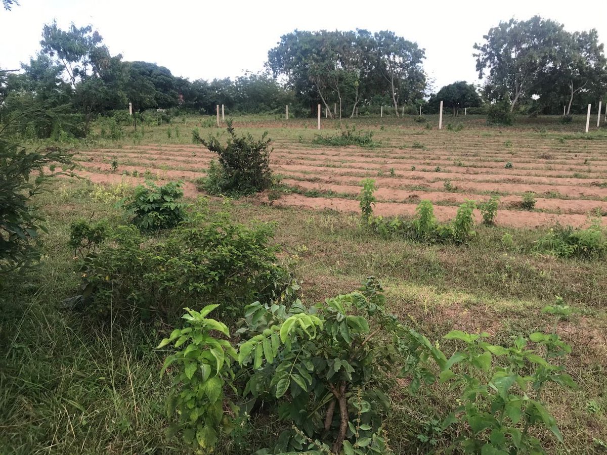 Buhongwa Mwasonge.
SQM 1300.
Price 10.5m
Upepo wa Ziwani huu hapa.
Please share.