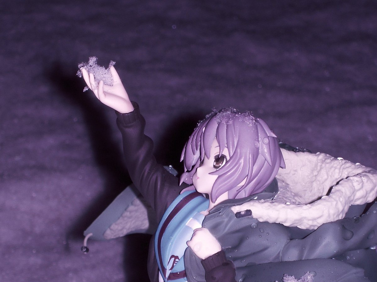 사쿠 (@sakumin00) on Twitter photo 