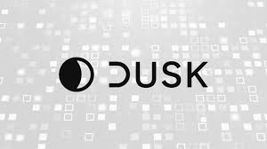 Privacy is the cornerstone of the next wave of blockchain adoption. <a href="/DuskFoundation/">Dusk</a>  is leading the development of $DUSK to deliver secure, interoperable, and scalable financial applications. The future of digital finance is transparent but private and #Dusk is building it today