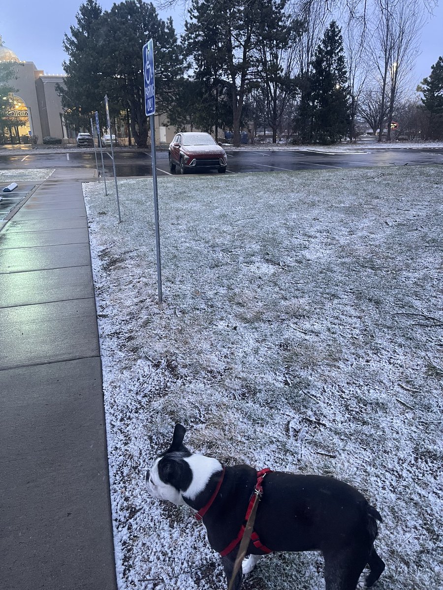 Manda_80sFanGrl's tweet image. In Kansas City this weekend and it is currently 17 degrees!!!!!! WTH omg! It was snowing yesterday here Joey said no thank you. 🥶❄️ #socold