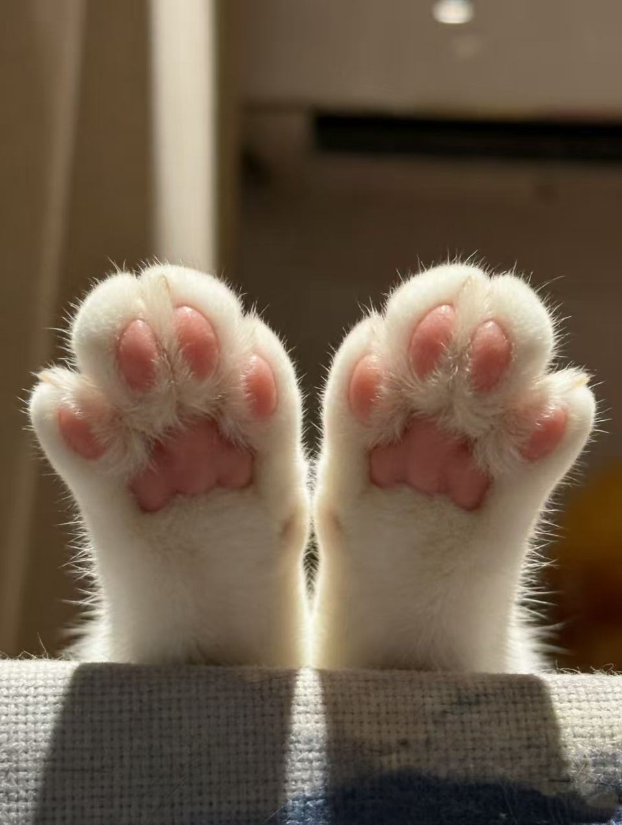 Poloniex Exchange tweet media