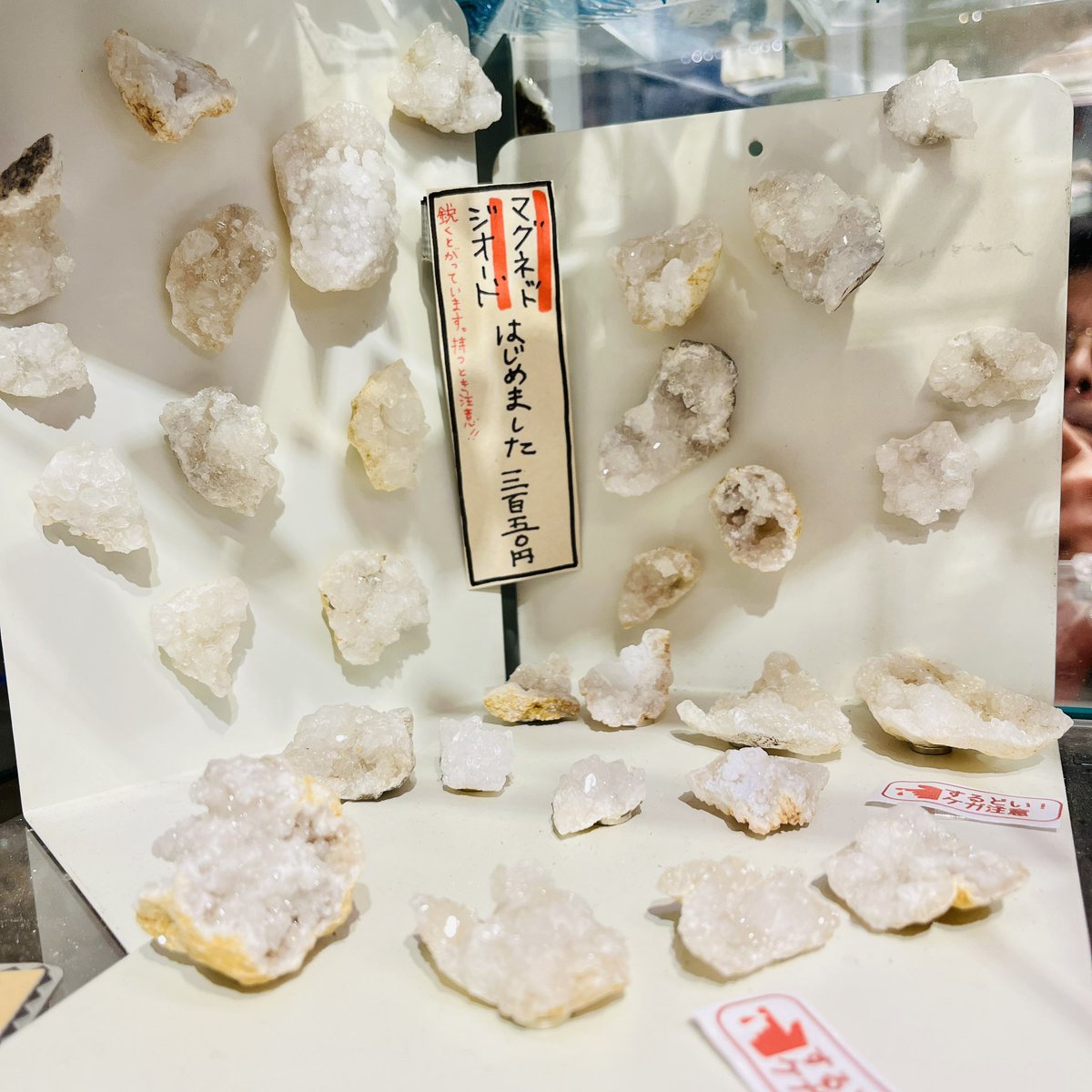 宝石探しトレジャーストーンパーク (@TSP_NASU) / Posts / X