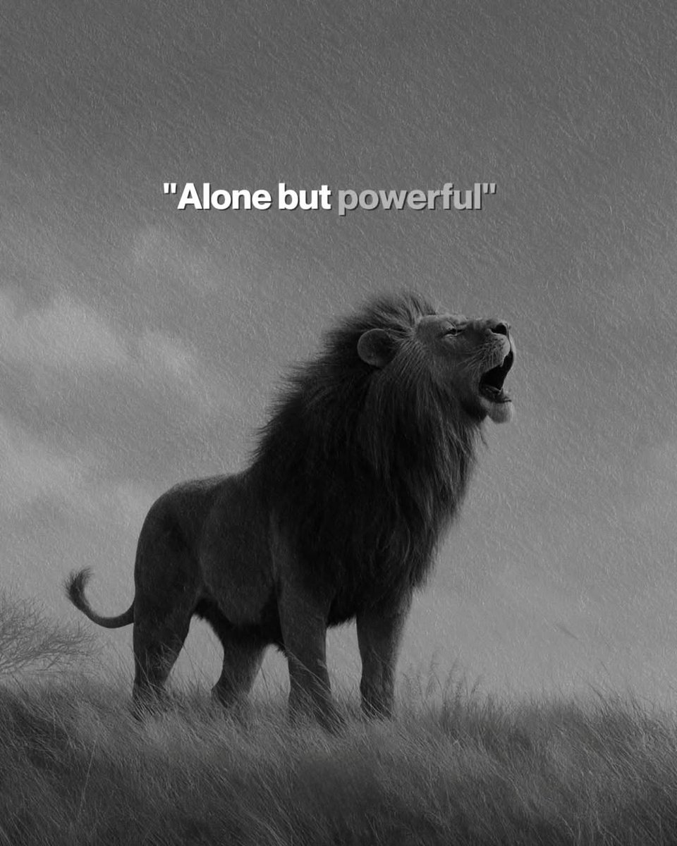 Manliness Norms ⚡ (@manlinessnorms) on Twitter photo 