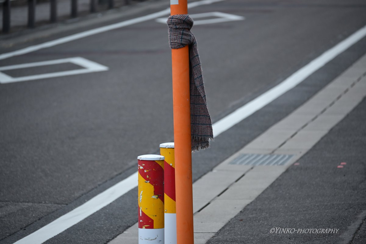お気遣い Nikon Z30 NIKKOR Z DX 50-250mm F4.5-6.3 VR