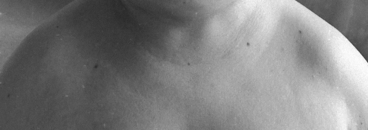 Hasbulla tweet media