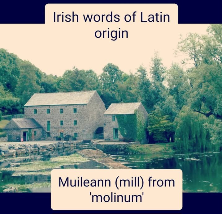 Derek Hollingsworth tweet media