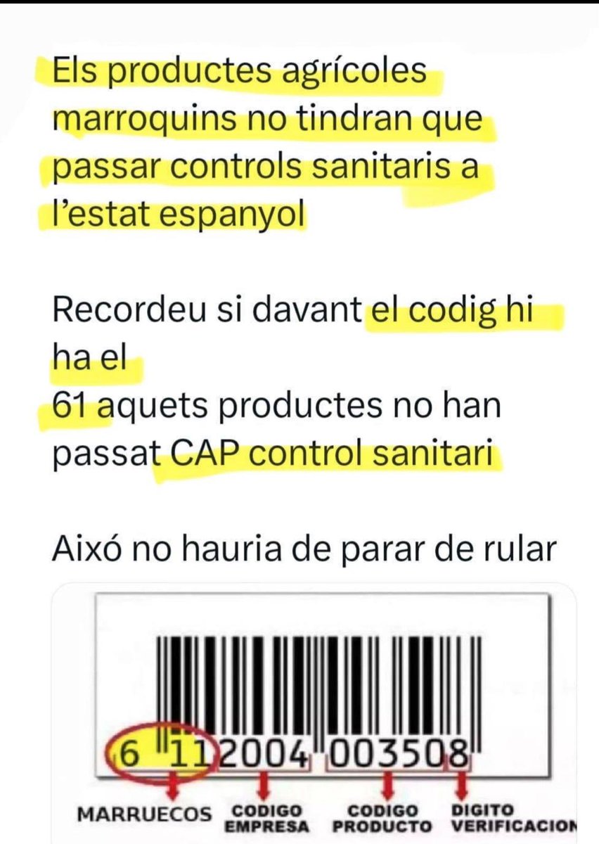 alsanfe's tweet image. 