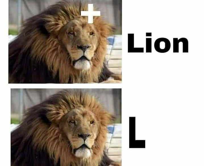 memeinteligente's tweet photo. https://t.co/QpJsKRKnnW