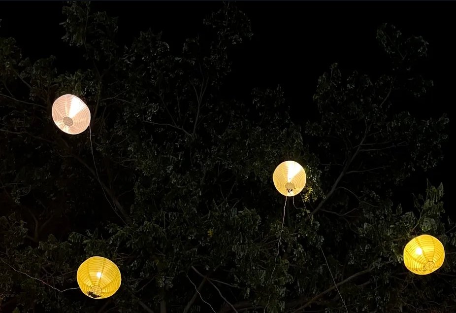 BebakRajat's tweet image. वक्त का काम है गुजरना,
अच्छा है तो शुक्र करें, बुरा है तो सब्र करें।🙌🏼

Good evening mates 😊