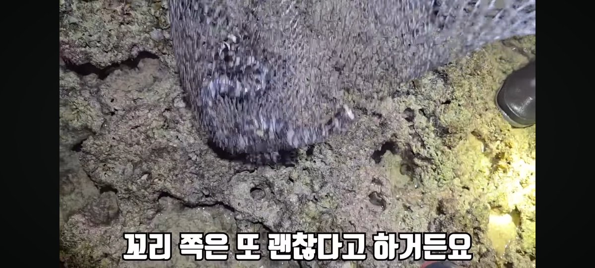 곽영주 머리 제거해서 조림으로 해서 잡아먹어야겠다