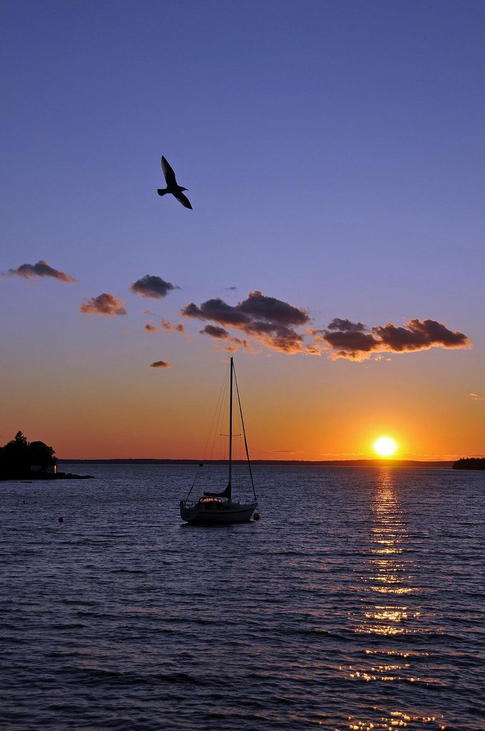 Kinza_507's tweet image. Good Evening X Family 

Pause for a moment and breathe.
Then move forward with purpose.