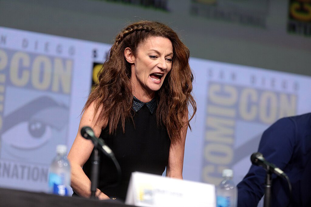 mickeygupdates's tweet photo. Michelle at San Diego Comic Con in 2017 for the Doctor Who Hall H Panel [23 July 2017]

#michellegomez #doctorwho #missy #twissy https://t.co/aImNqZOQ6Y