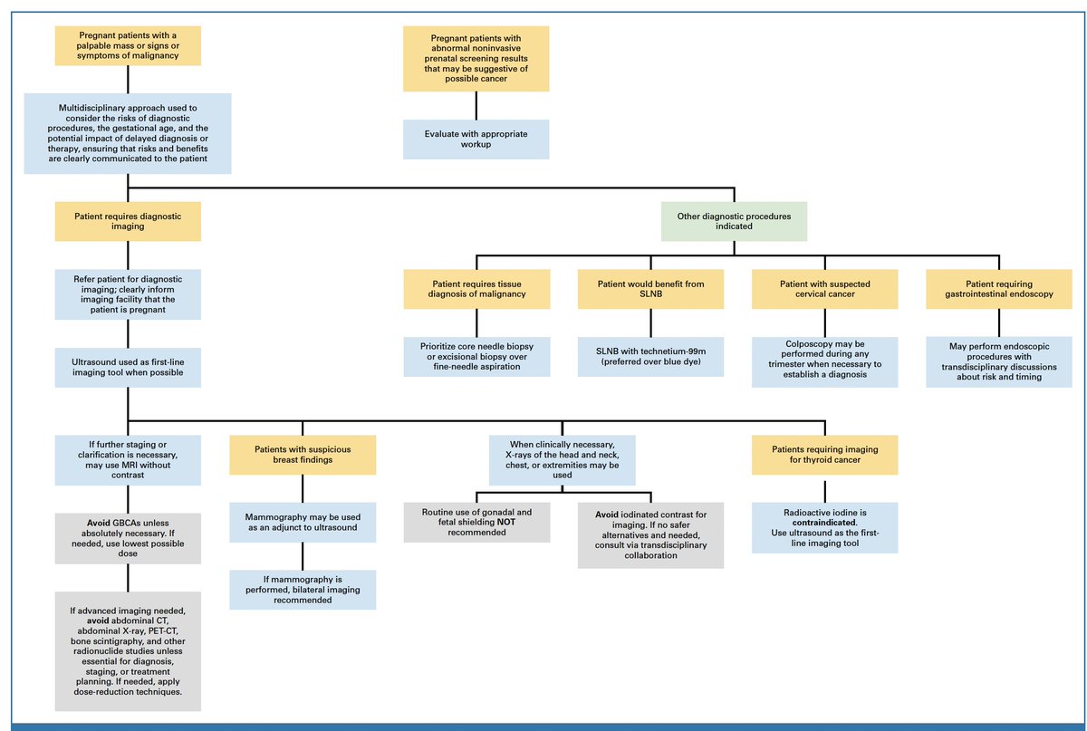 Management of Cancer During Pregnancy: ASCO Guideline
<a href="/JCO_ASCO/">Journal of Clinical Oncology</a> 
doi.org/10.1200/JCO-25…
👏Very useful guidance on the recommended management of cancer in pregnant patients
👉Systematic review of 450 studies
👉Many systemic therapies are contraindicated
<a href="/myESMO/">ESMO - Eur. Oncology</a> <a href="/ASCO/">ASCO</a>