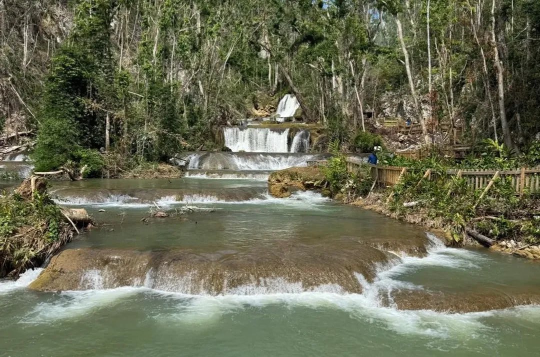 sainty876's tweet photo. YS Falls has gotten back way greener vegetation since Hurricane Melissa 😍
Liking it! 🙌
St. Elizabeth, Jamaica https://t.co/C5OfpMbkzG