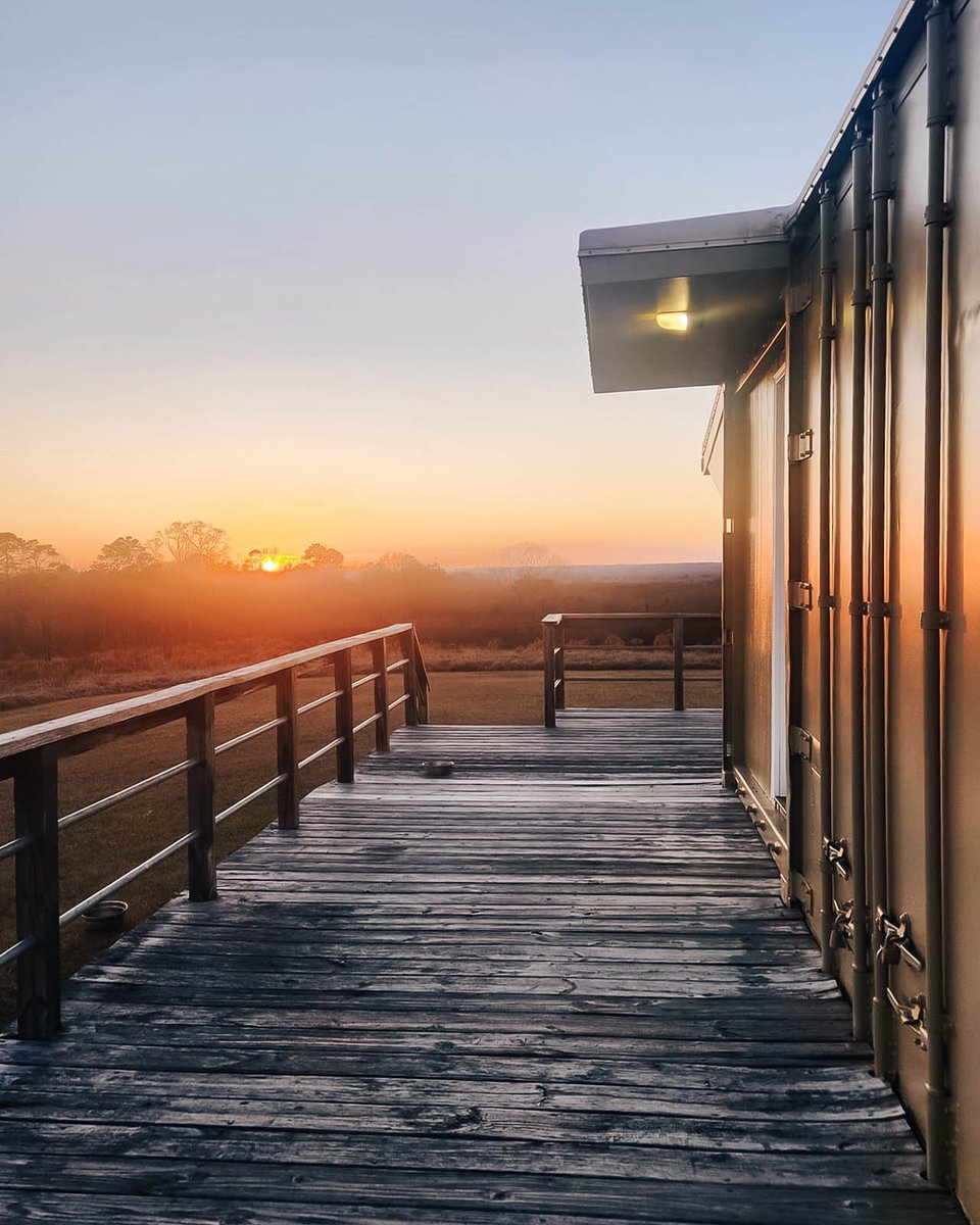 Andrew Hopper tweet media