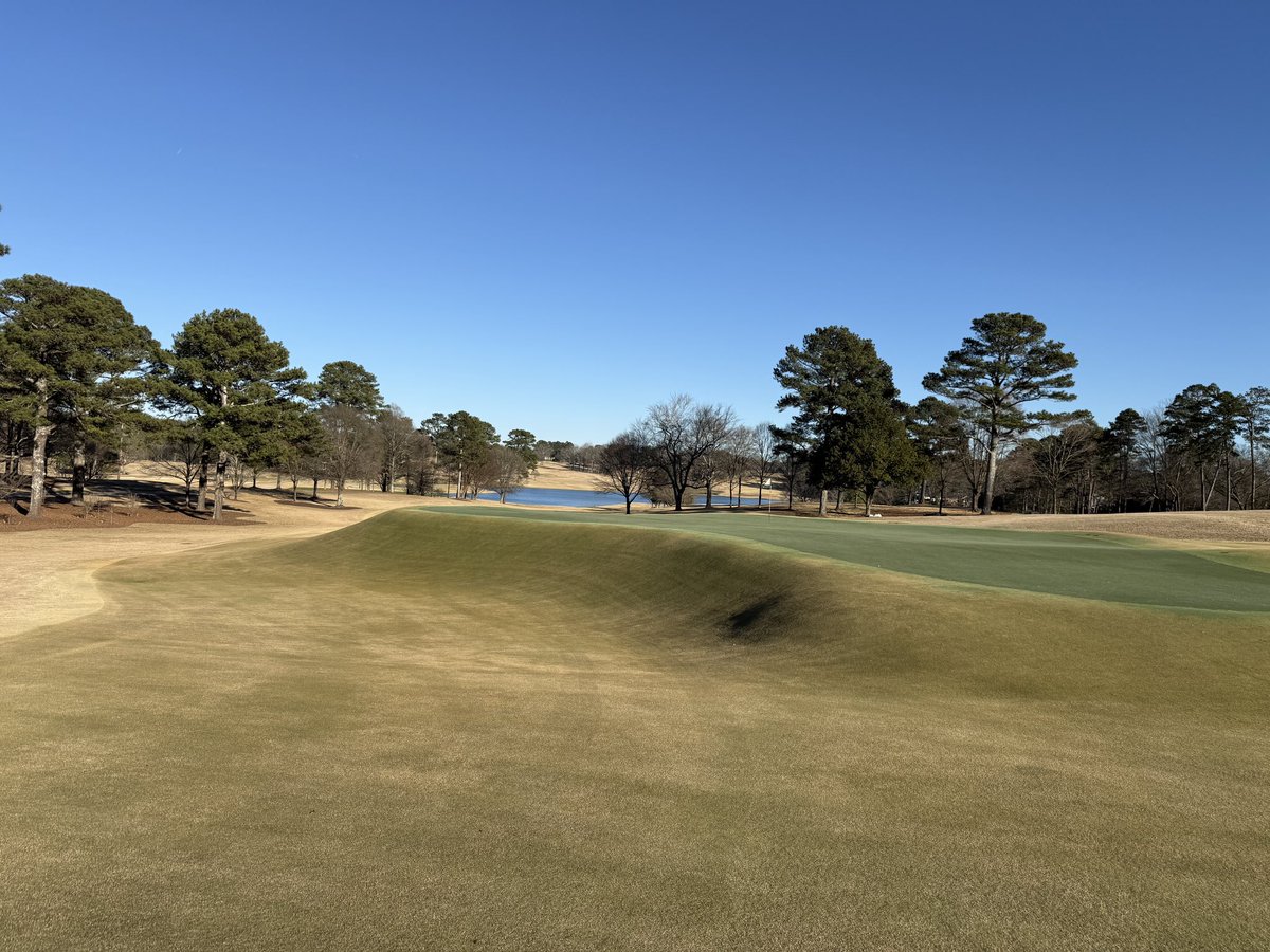 Rick Golfs tweet media