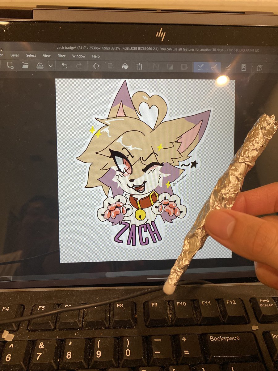 bestdisaster tweet media