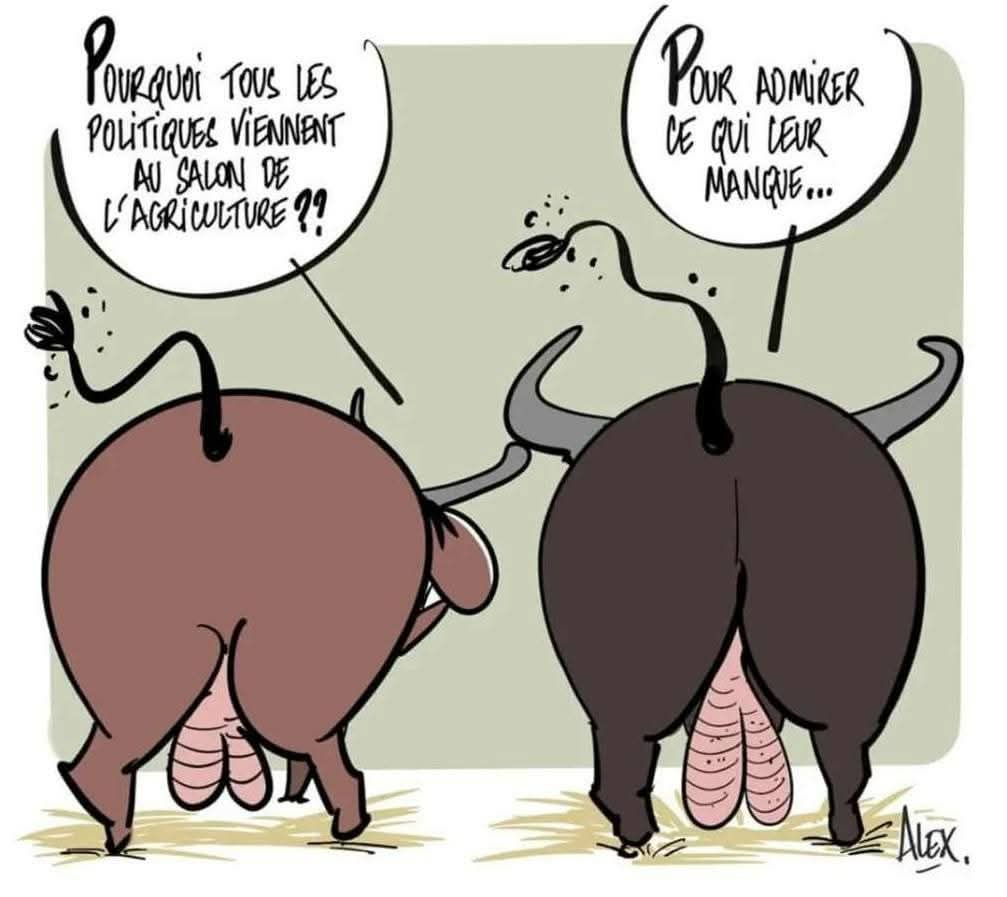 Sofboubou (@sofboubou1) on Twitter photo 