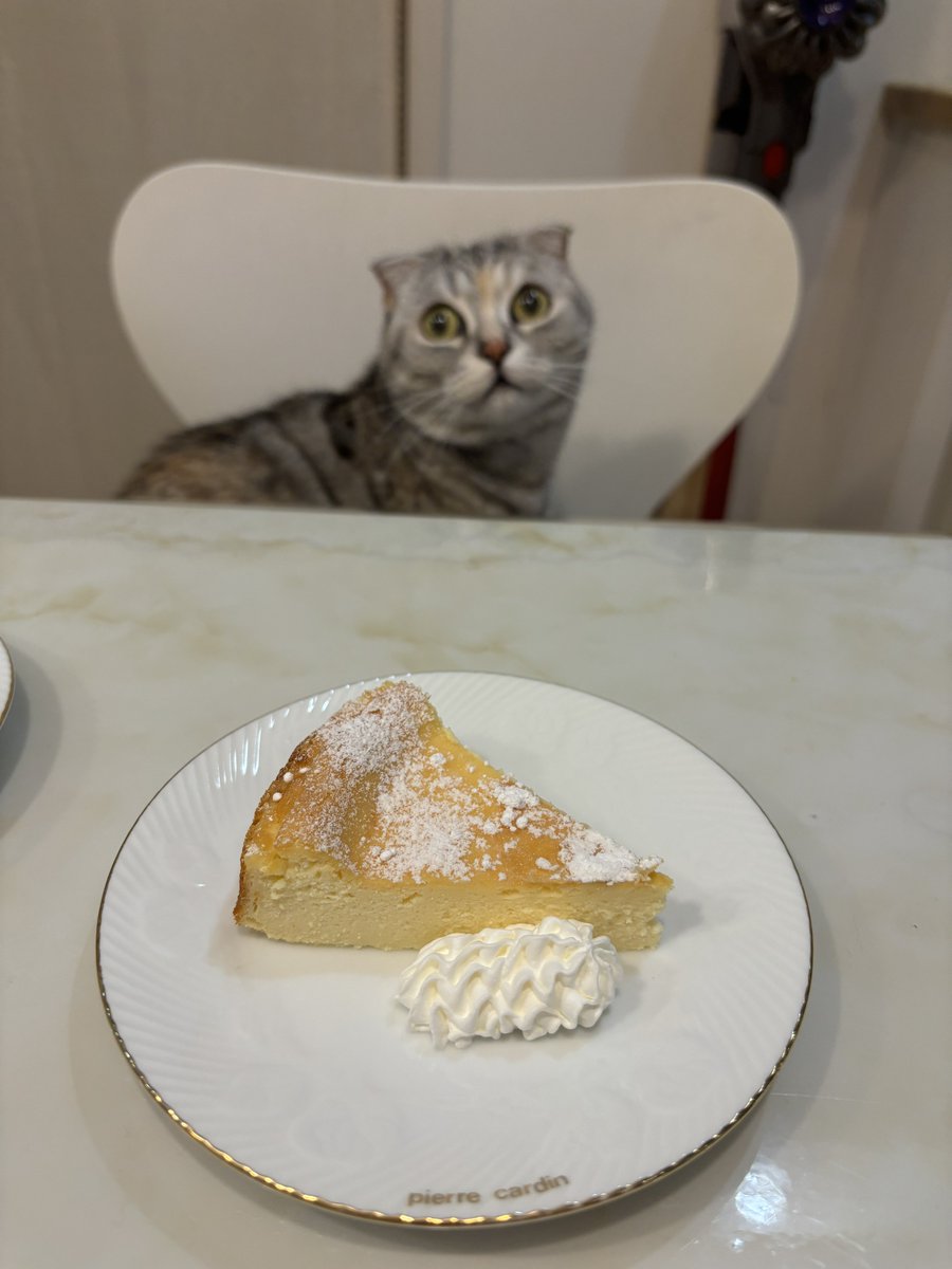 Post by CoCo on X: にゃーん