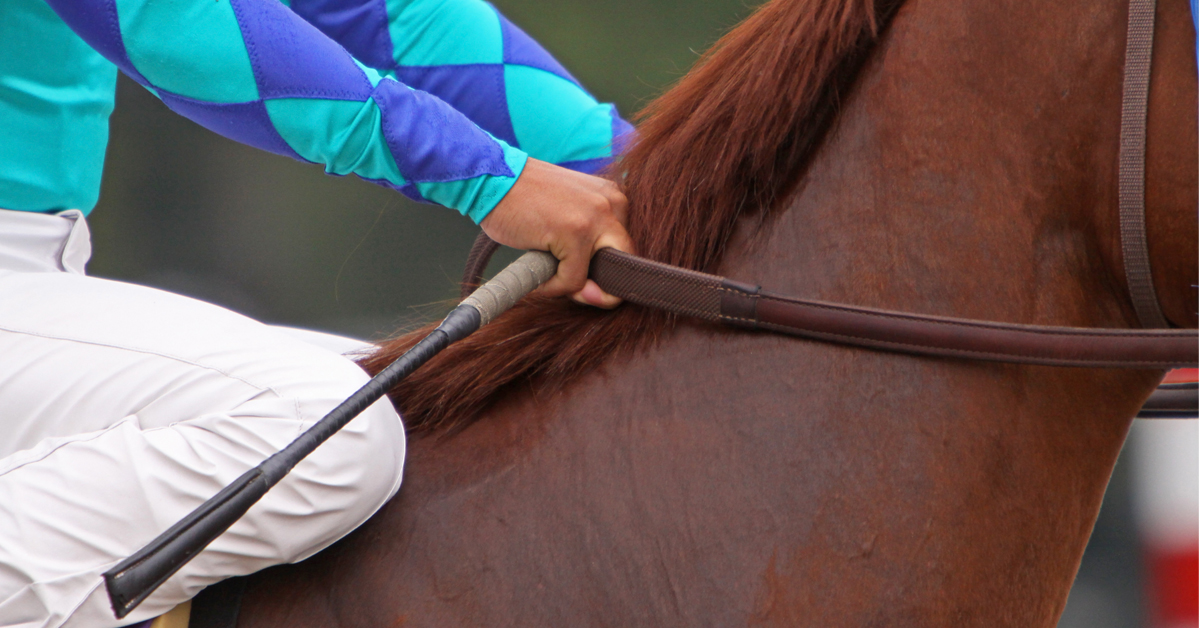 Thoroughbred Rulings at Canadian Racetracks in 2025
The total number of fines and suspensions last year at Canada's five major racetracks dropped significantly compared to 2024. #fines #suspensions #horseracing #rulings #racetracks #jockeys
canadianthoroughbred.com/magazine/law/t…