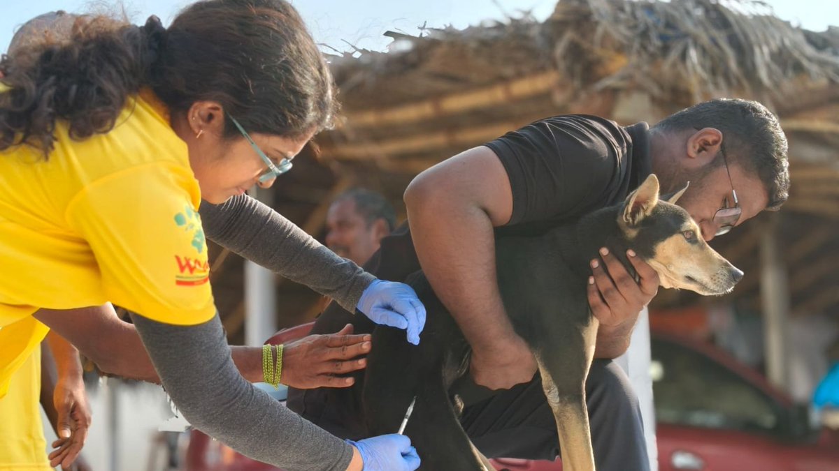 Humane Animal Society (HAS) tweet media