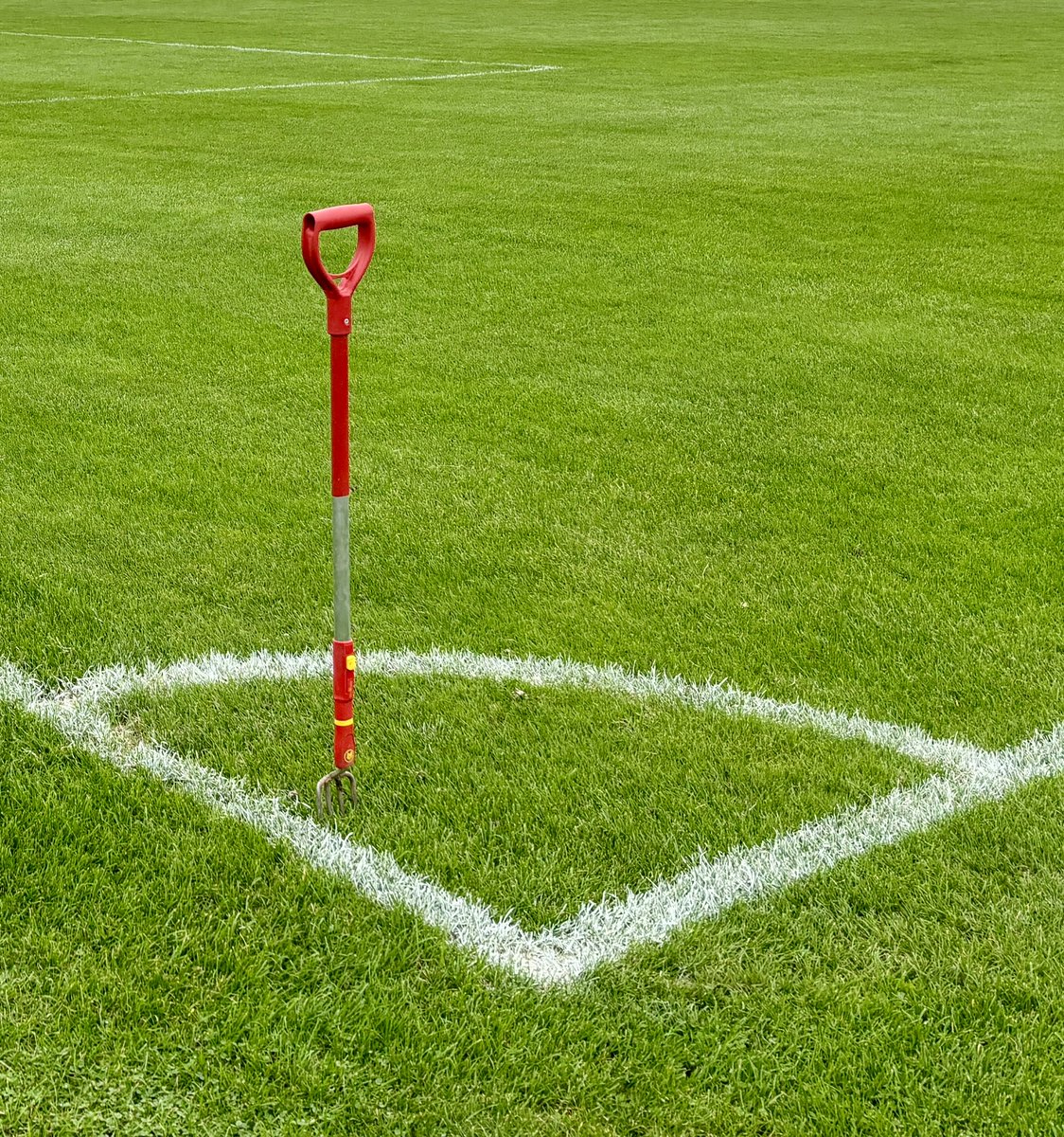 Groundsman Wes tweet media