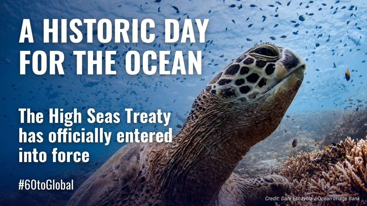 AIDA Americas tweet media