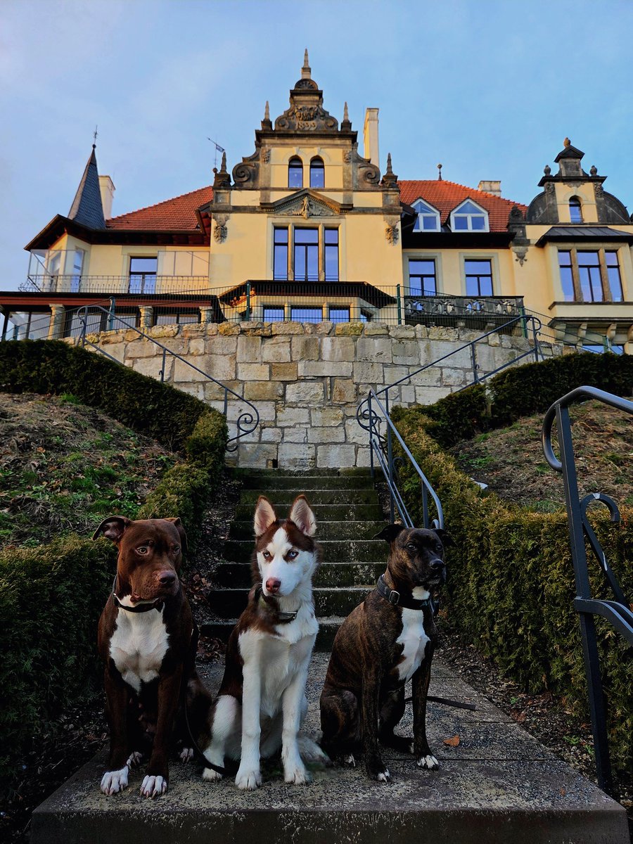 EnergyBorder's tweet image. Ares: Das Leben ist ein Abenteuer, das darauf wartet, von dir gelebt zu werden. Wage es die Welt zu entdecken und zu gestalten.