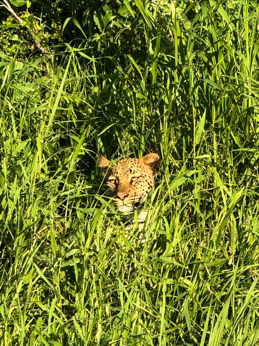 REBECCA BARNES. tweet media