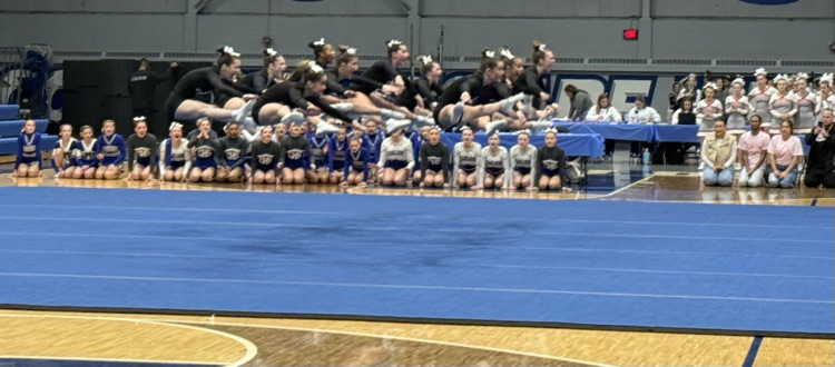 Amy Conway tweet media