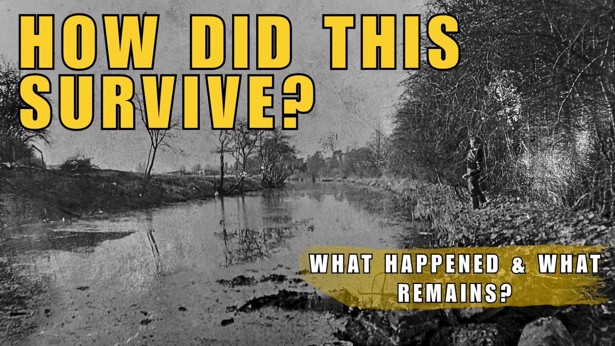 Making New Memories tweet media