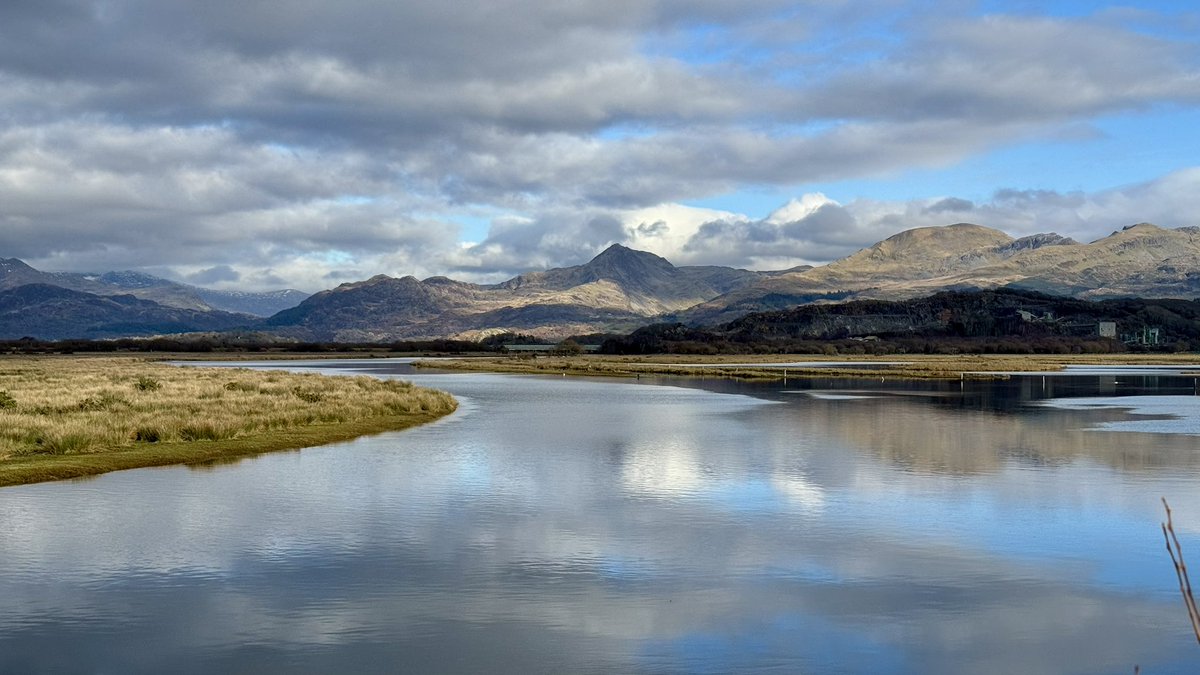 Sarah Parry tweet media