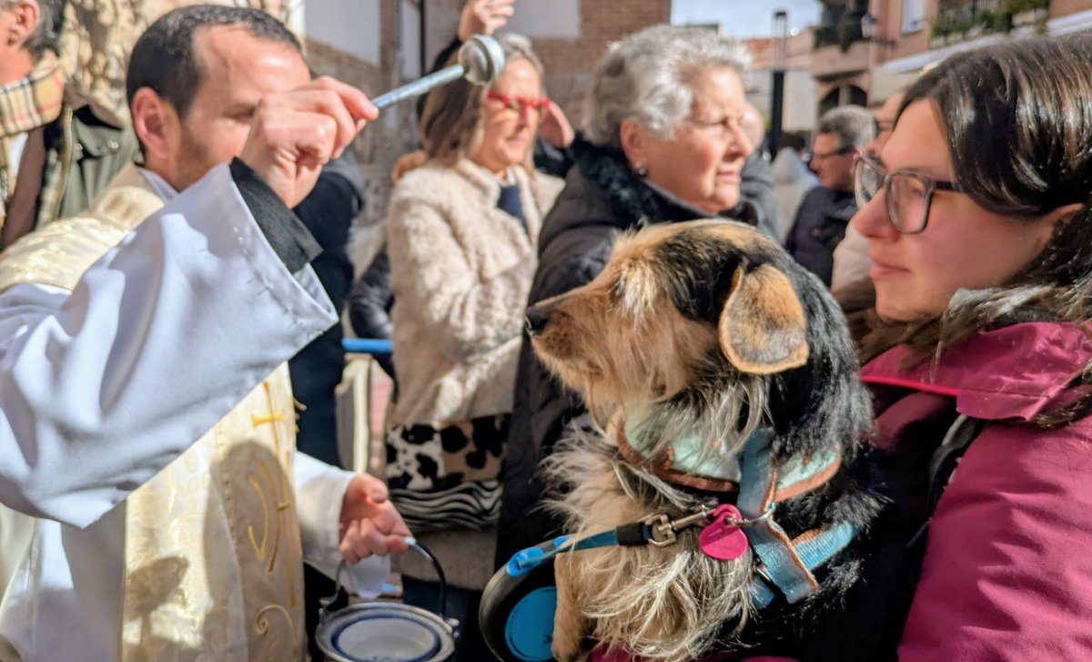PSOE Talavera/❤️ tweet media