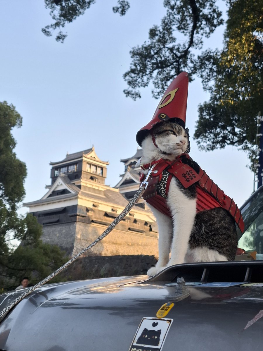 読んで見たいとです