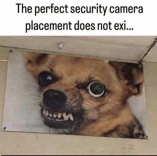 kmcnam1's tweet image. 