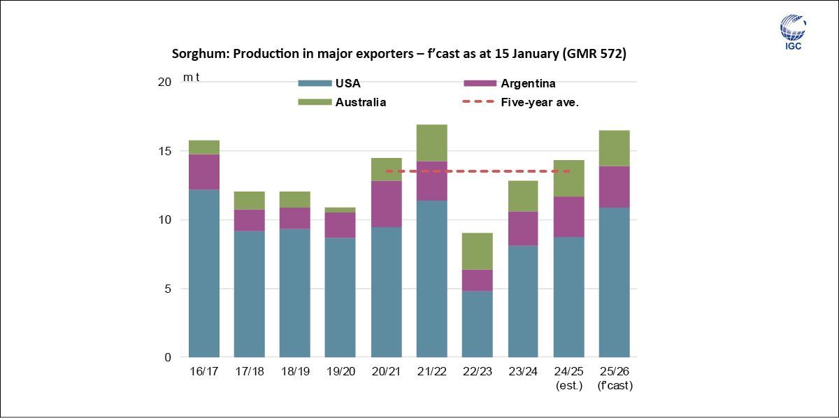 IGCgrains's tweet image. Amid an increase in harvested #area and better average #yields, world #sorghum #production in 2025/26 is predicted to rise y/y, including an above-average #output in in the major #exporters.